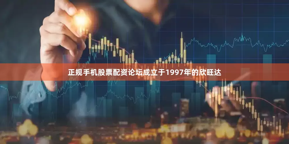 正规手机股票配资论坛成立于1997年的欣旺达