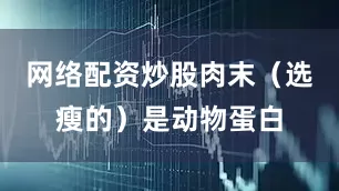 网络配资炒股肉末（选瘦的）是动物蛋白