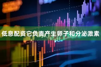 低息配资它负责产生卵子和分泌激素